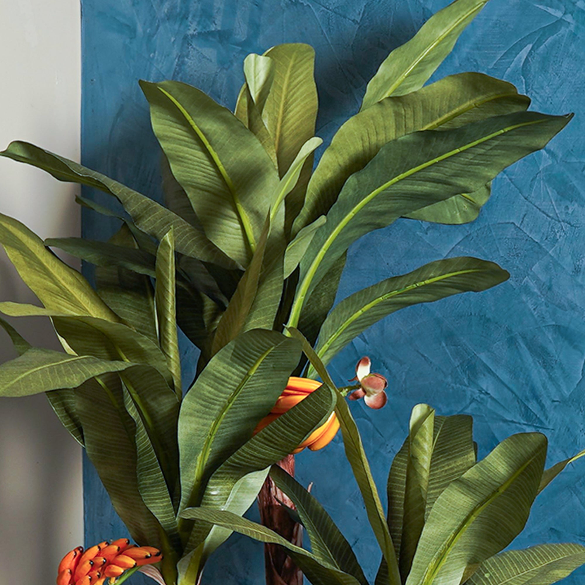 Banana Palm Tree - The Artment