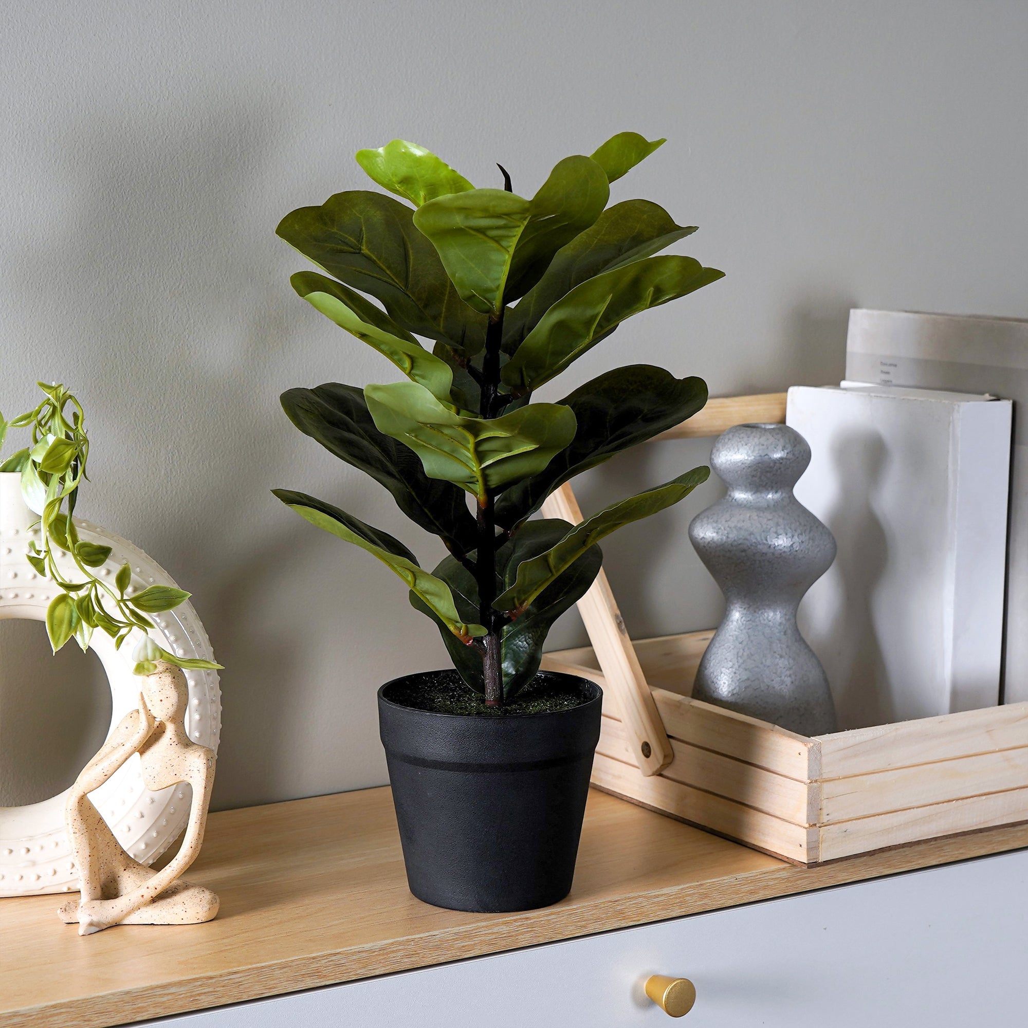 FiddleLeaf - The Artment