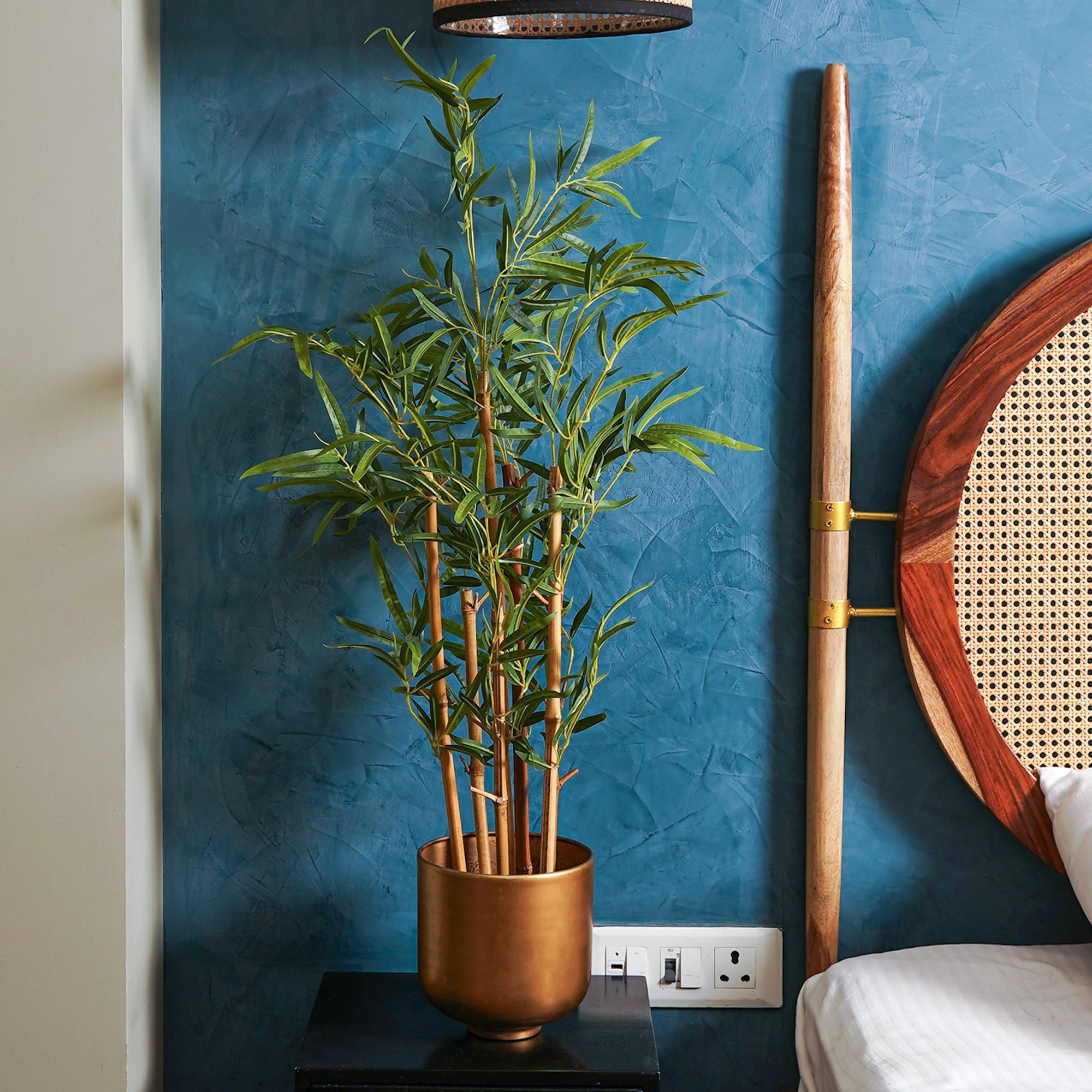 Golden Bamboo Plant - The Artment