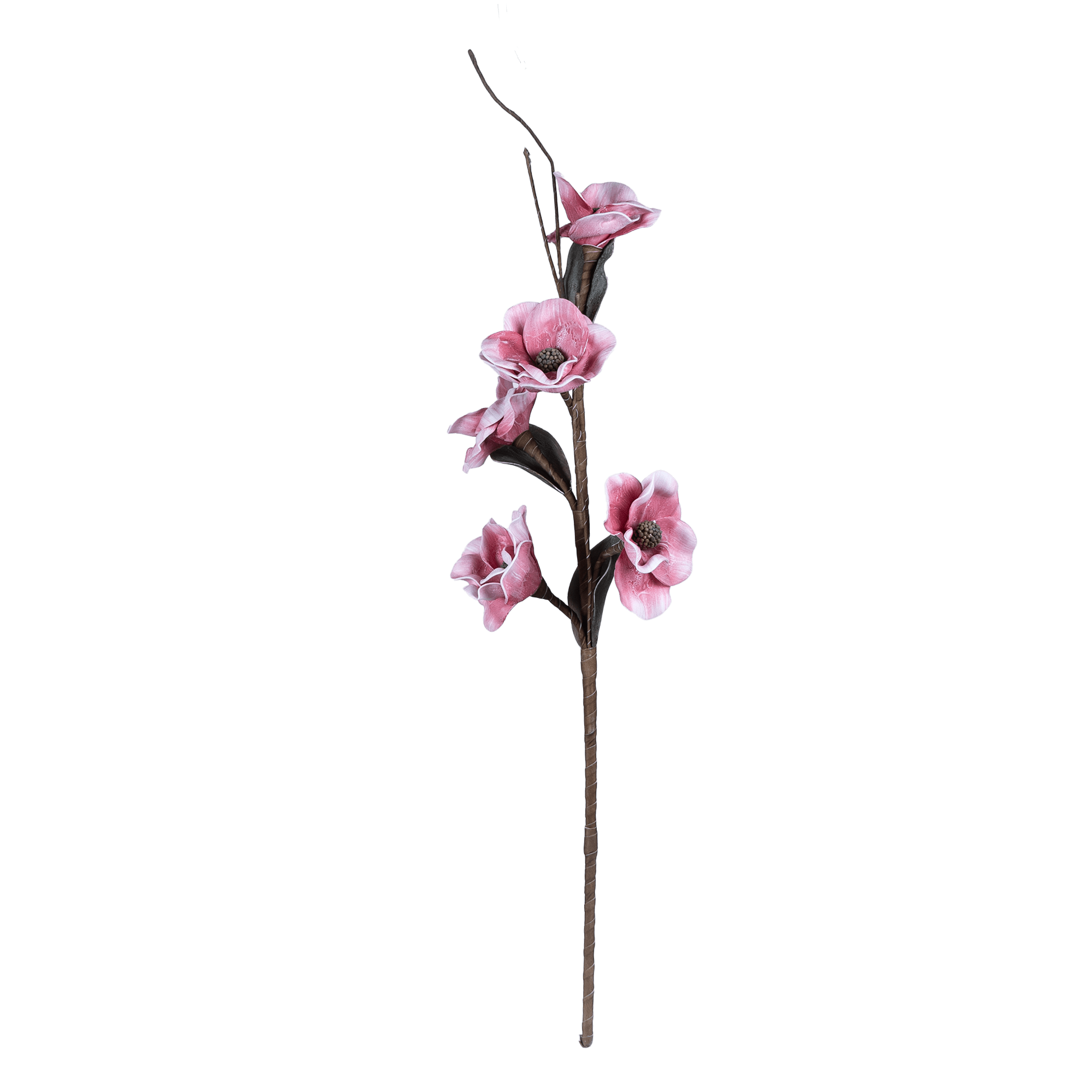 Magnolia Moonkissed - The Artment