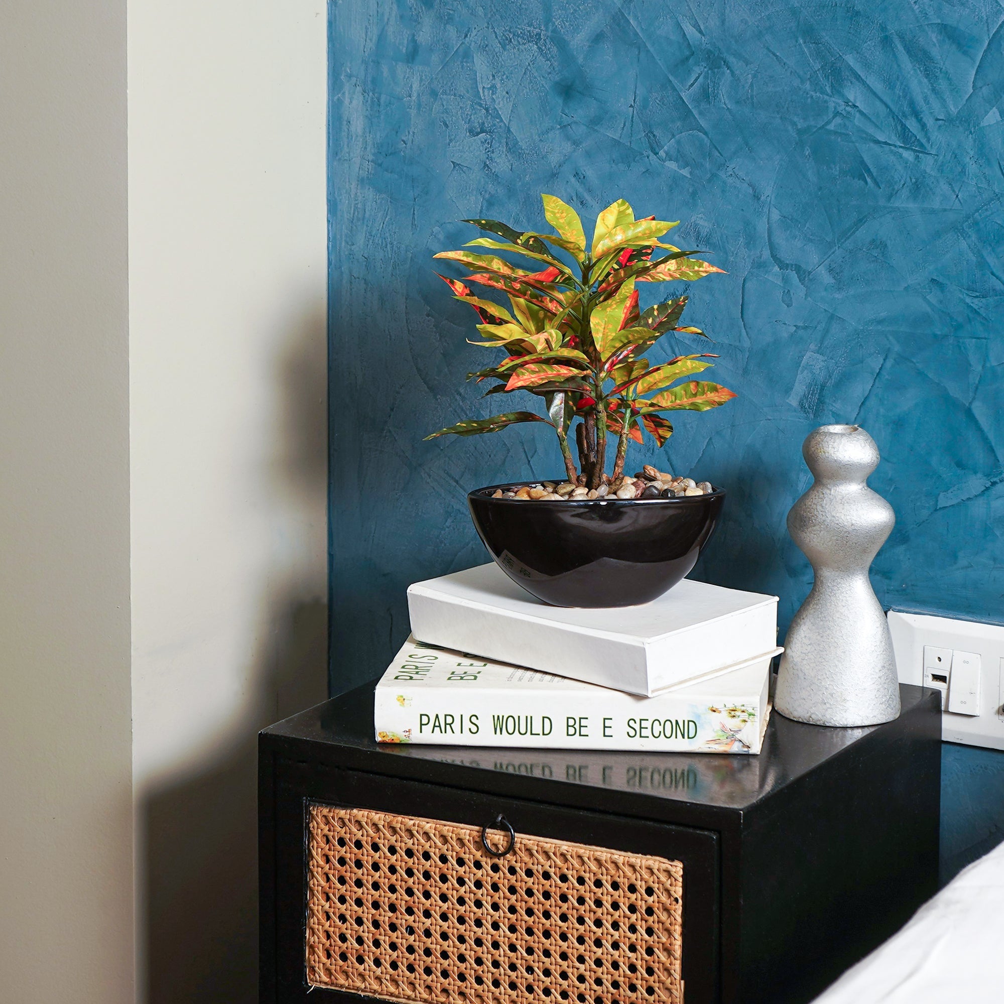 Tropi Garden Croton - The Artment